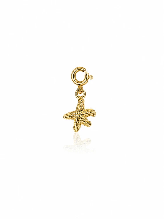 rozgwiazdka, srebro pr. 925, charms